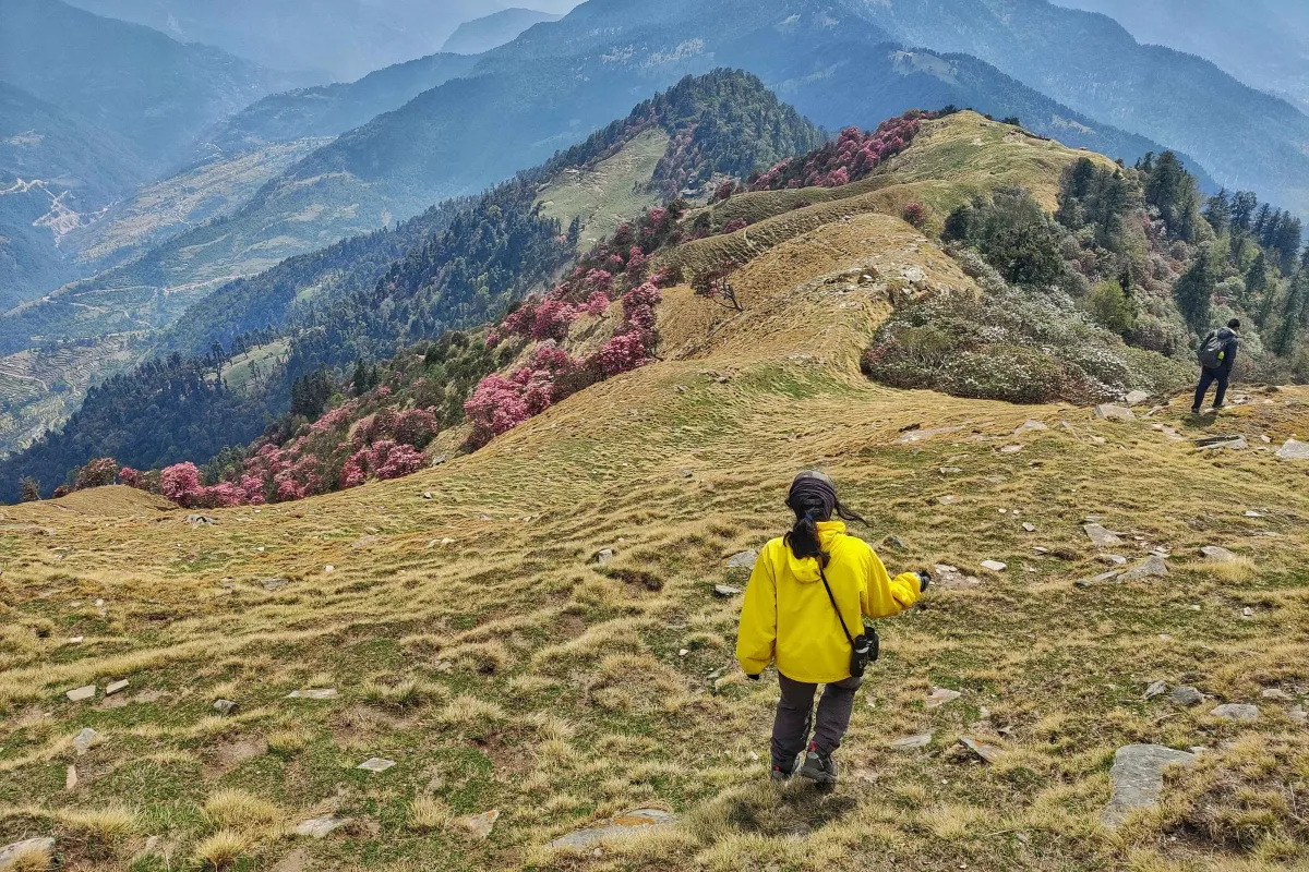 Walking Holidays: The Slow Way to See the World